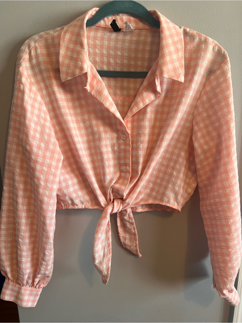 Divided Peach Gingham Tie-Front Button Down Shirt